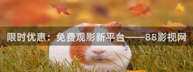 西瓜成都