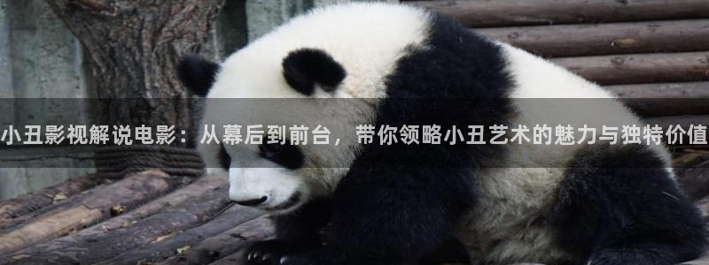 神马电影西瓜