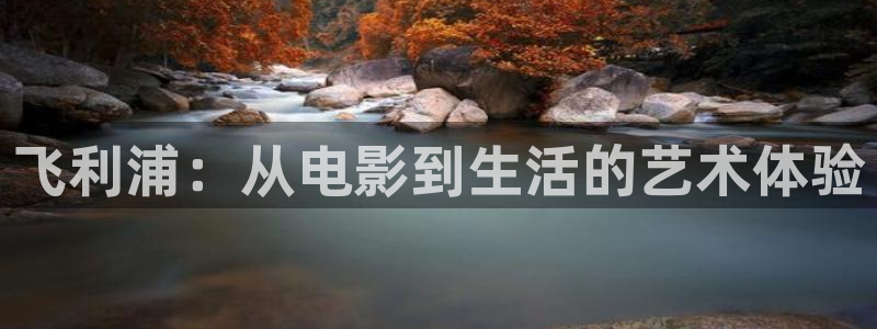 西瓜理论片在线看免费