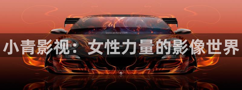 我们一起摇太阳西瓜免费观看