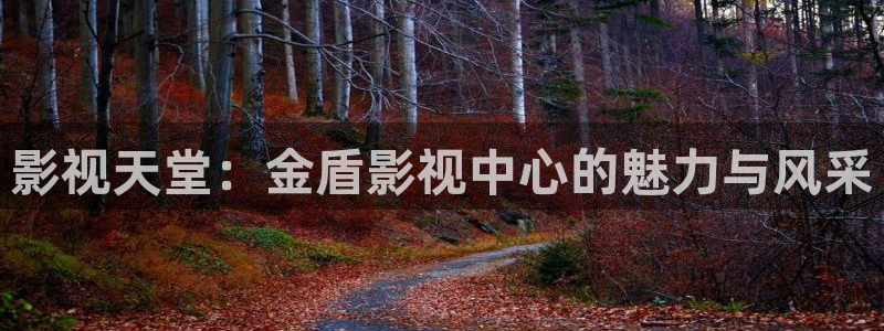 西西瓜视频