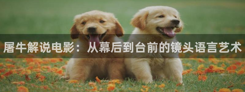 西瓜影院免费版看大片