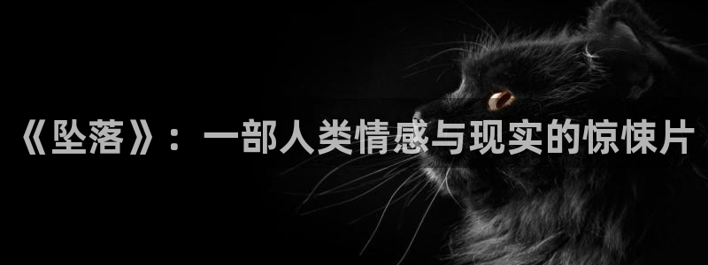 西瓜影院高清在线观看电视剧