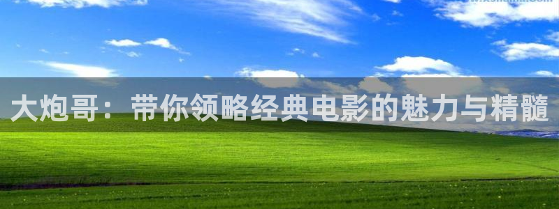 西瓜视频免费观看