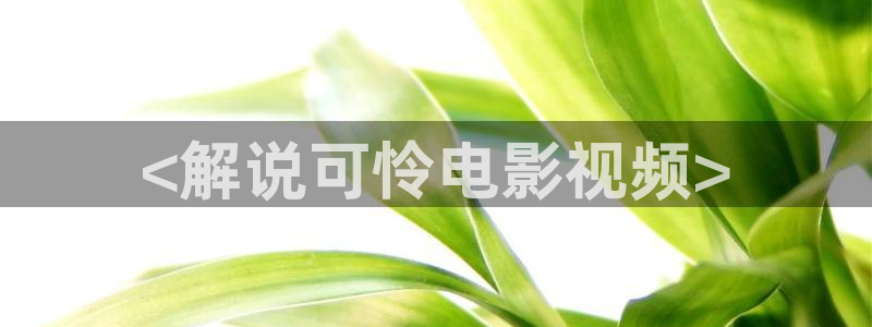 爱丫爱丫免费观看电视剧西瓜影院