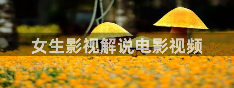 西瓜直播nba在线观看免费