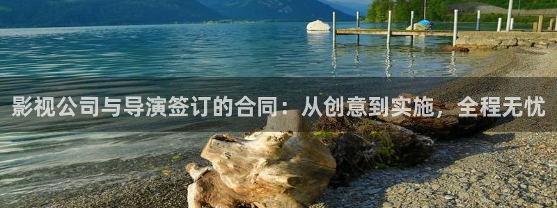 黄金瞳免费观看全集完整版西瓜