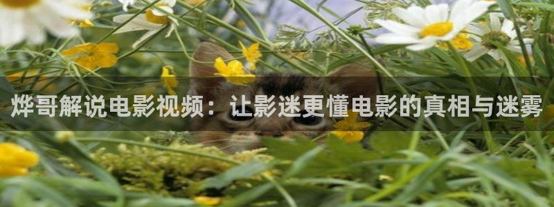 七夜雪电视剧免费观看西瓜影院