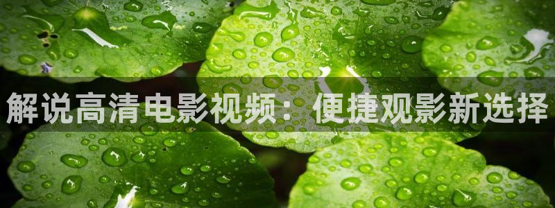 安家电视剧全集免费观看西瓜