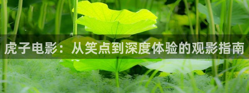 西瓜黄色片
