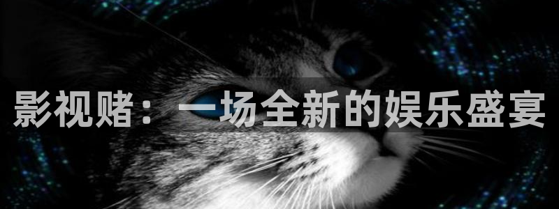 西瓜影院在线观看免费高清电视剧2025版