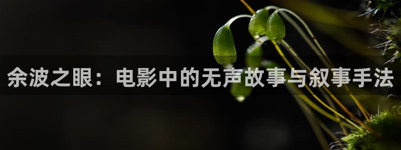 西瓜影院在线观看免费电影