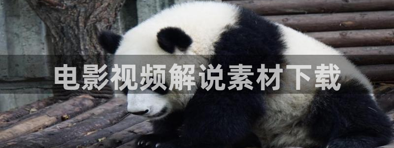 西瓜视频旧