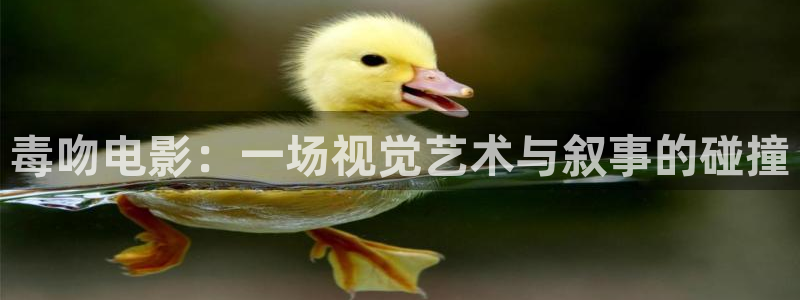 宁都西瓜