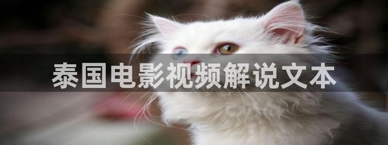 棋士电视剧免费观看完整版西瓜