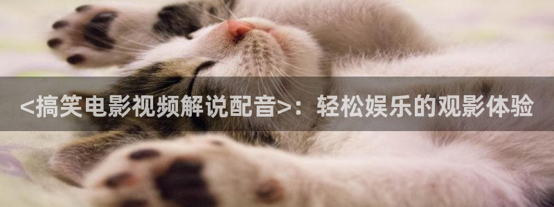 西瓜影院 在线看