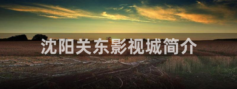 西瓜照片