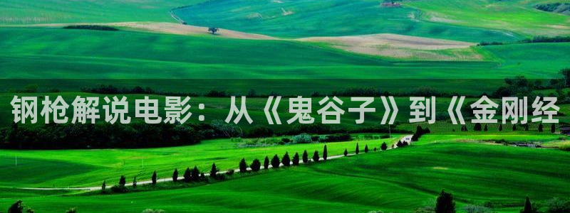 琪琪电影西瓜