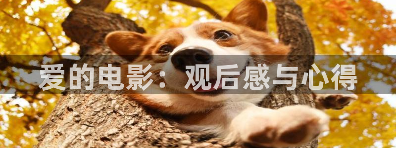 西瓜电影电视剧大全免费观看