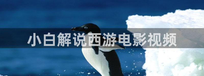 西瓜视频'
