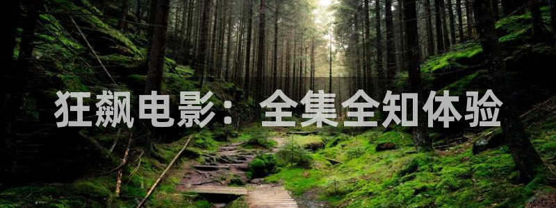 手机西瓜电影