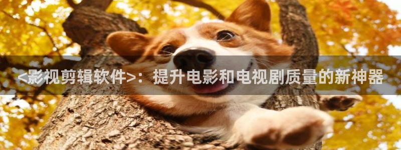 我知道你的秘密免费观看西瓜影院