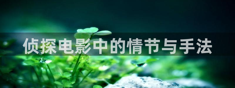 与君初相识免费观看完整版西瓜