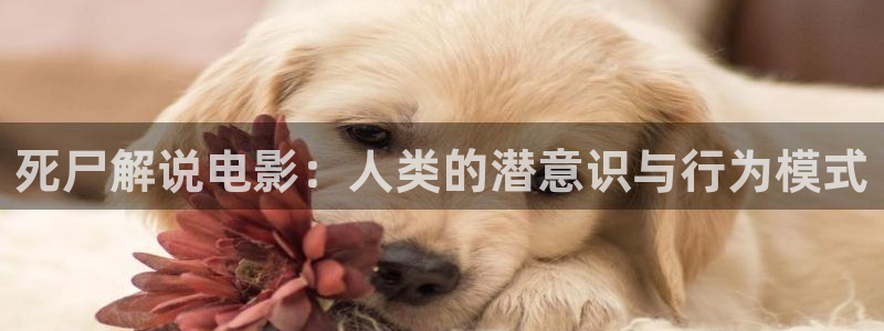 人鱼小姐国语版全集在线观看西瓜