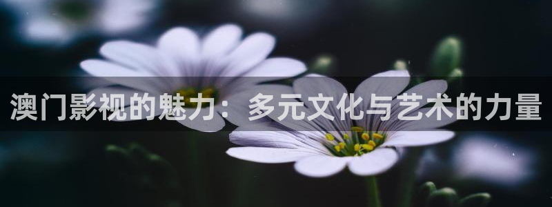 《亲爱的翻译官》免费观看西瓜