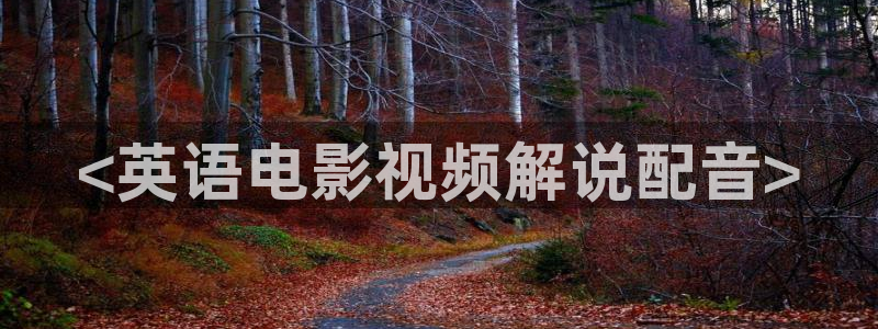 西瓜视频免费观看