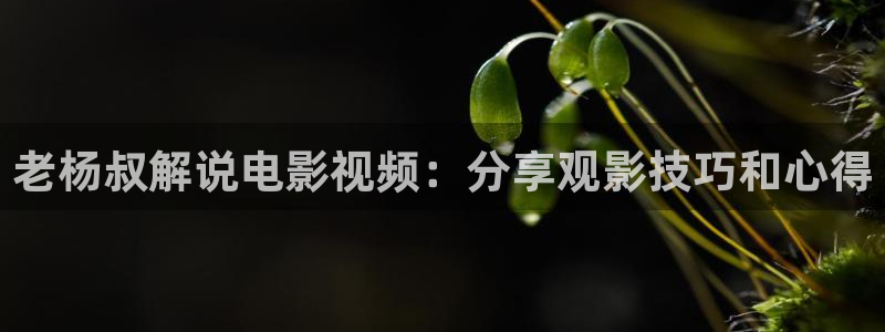 马大帅1全集免费观看在线西瓜