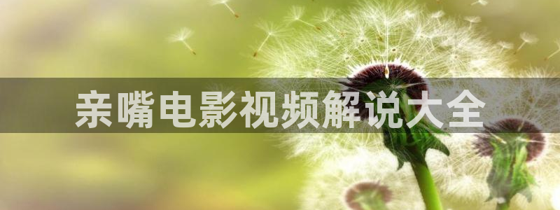 寻秦记电影版免费观看西瓜