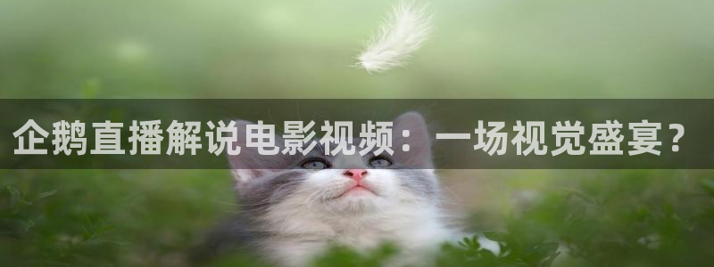 西瓜播放器免费高清在线电影
