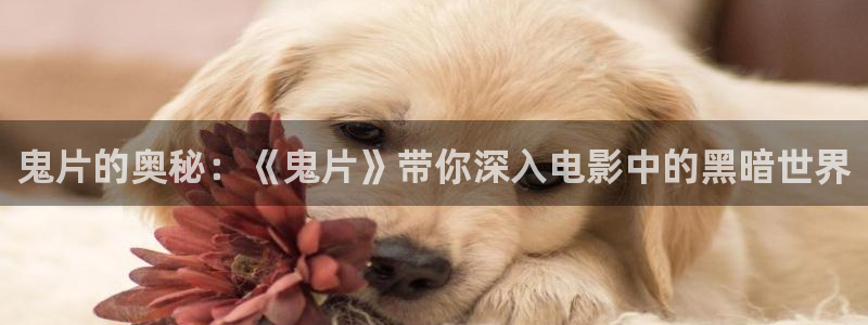 西瓜在线免费电影