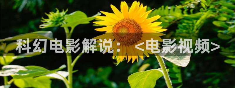 天醒之路电视剧免费观看西瓜