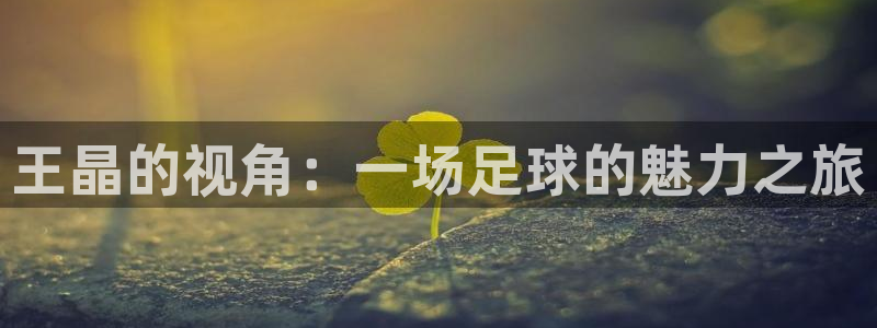 西瓜高清在线观看