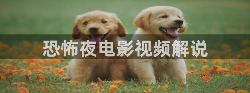 2012在线观看西瓜完整版免费