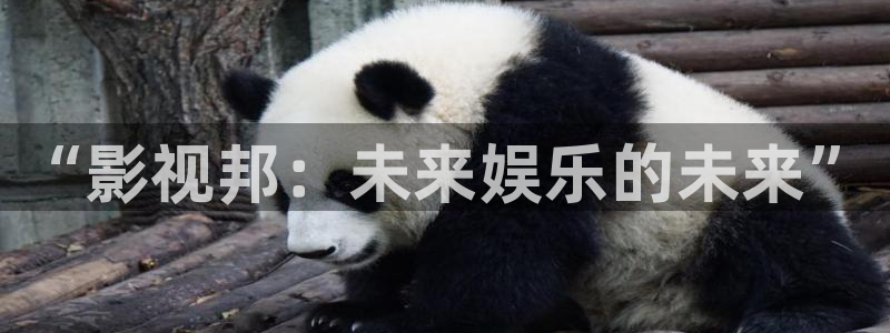 少年天子西瓜免费观看