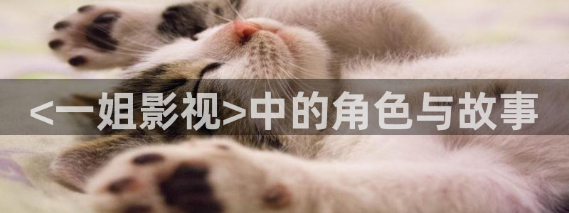 西瓜视频·西瓜视频