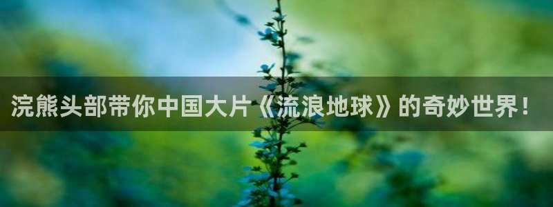 西瓜影院免费完整版电影