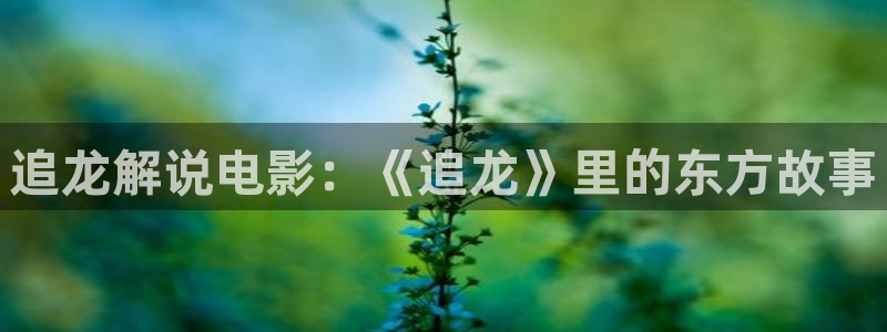 遮天动漫在线观看西瓜