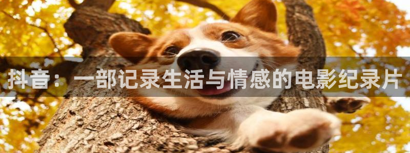西瓜视影院