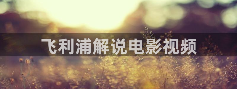 西瓜影院免费观看电视剧高清大全