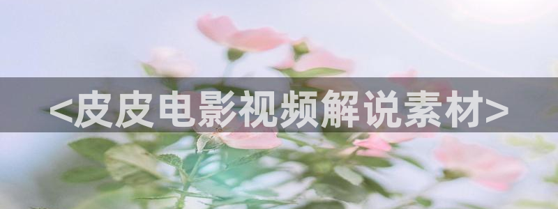西瓜电影在线看