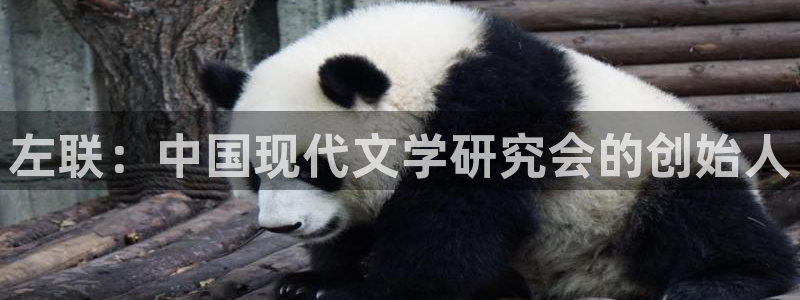 下载西瓜影院