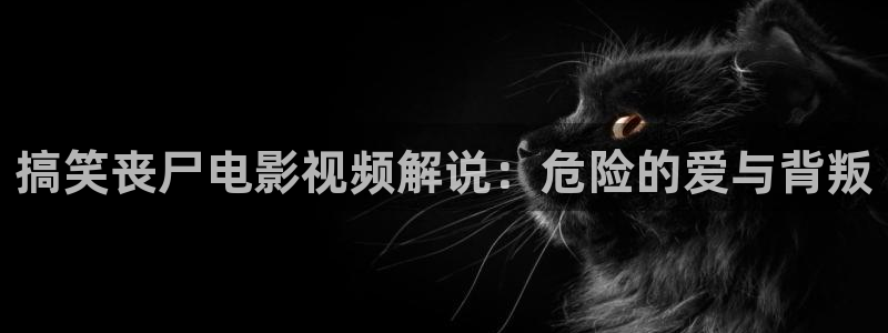 五月槐花香电视剧全集免费西瓜：搞笑丧尸电影视频解说：危险的爱与背叛