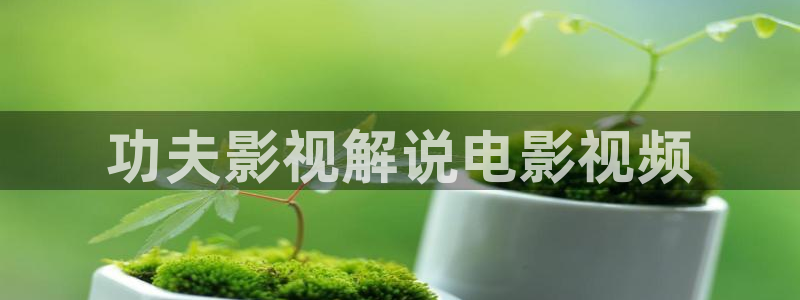 西瓜片子是什么