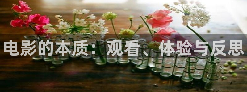 西瓜影院电影伦理