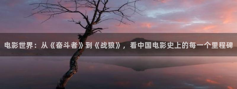 西瓜观影：电影世界：从《奋斗者》到《战狼》，看中国电影史上的每一个里程碑