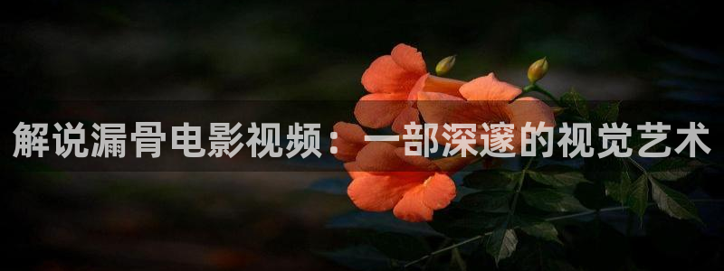 司藤在线观看免费完整版西瓜